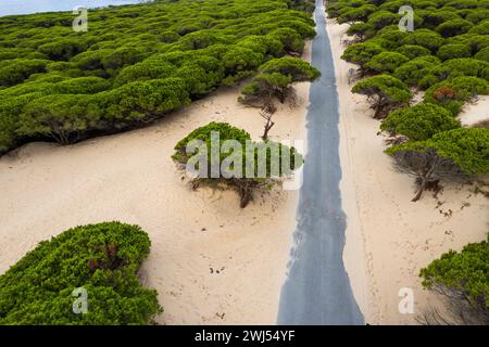 Dune di sabbia nella regione di Cadice, Andalusia, Spagna Foto Stock