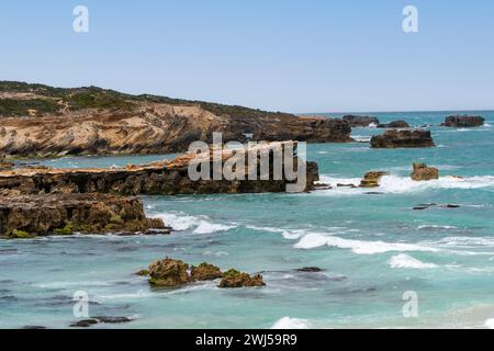 L'aspro paesaggio marino lungo il Cape Buffon Walking Trail, Southend, Australia meridionale. Foto Stock