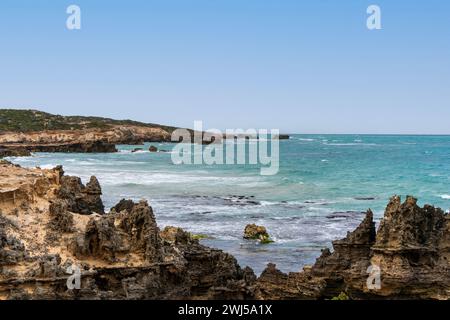 L'aspro paesaggio marino lungo il Cape Buffon Walking Trail, Southend, Australia meridionale. Foto Stock