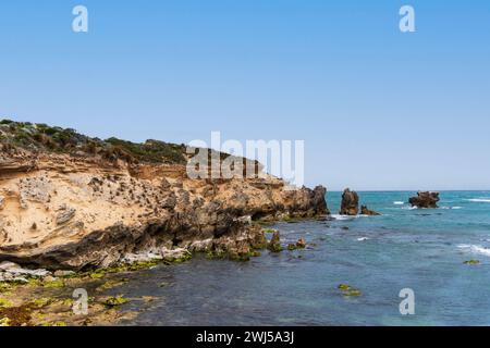 L'aspro paesaggio marino lungo il Cape Buffon Walking Trail, Southend, Australia meridionale. Foto Stock