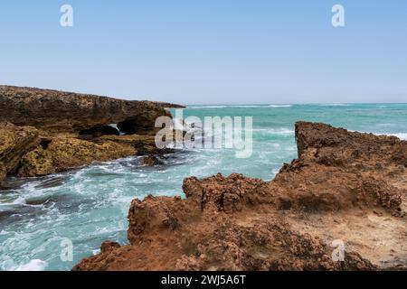 L'aspro paesaggio marino lungo il Cape Buffon Walking Trail, Southend, Australia meridionale. Foto Stock