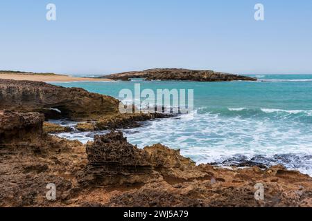 L'aspro paesaggio marino lungo il Cape Buffon Walking Trail, Southend, Australia meridionale. Foto Stock