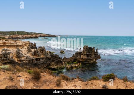 L'aspro paesaggio marino lungo il Cape Buffon Walking Trail, Southend, Australia meridionale. Foto Stock