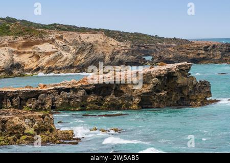 L'aspro paesaggio marino lungo il Cape Buffon Walking Trail, Southend, Australia meridionale. Foto Stock