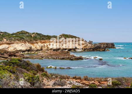 L'aspro paesaggio marino lungo il Cape Buffon Walking Trail, Southend, Australia meridionale. Foto Stock