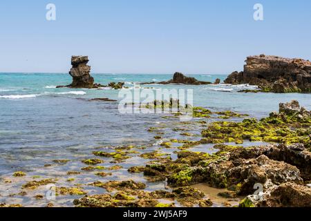 L'aspro paesaggio marino lungo il Cape Buffon Walking Trail, Southend, Australia meridionale. Foto Stock