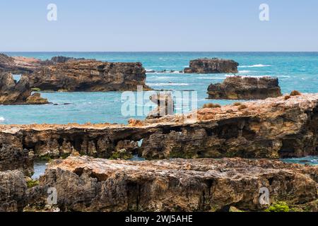 L'aspro paesaggio marino lungo il Cape Buffon Walking Trail, Southend, Australia meridionale. Foto Stock