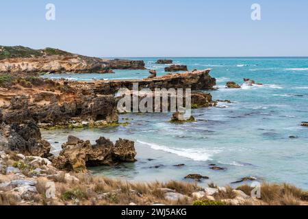 L'aspro paesaggio marino lungo il Cape Buffon Walking Trail, Southend, Australia meridionale. Foto Stock