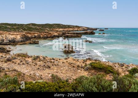 L'aspro paesaggio marino lungo il Cape Buffon Walking Trail, Southend, Australia meridionale. Foto Stock