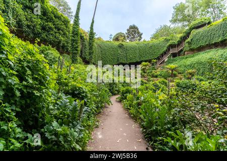 Umpherston Sinkhole a Mount Gambier, Australia meridionale. Foto Stock