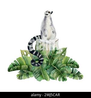 Lemure con coda ad anello seduto su ceppo e foglie di palma tropicale illustrazione ad acquerello. Carino animale scimmia disegnato a mano Foto Stock