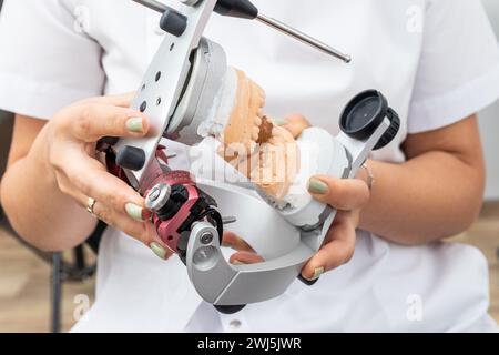 Dentista che sostiene l'articolatore dentario con il modello di protesi dentaria in gesso in laboratorio dentale Foto Stock