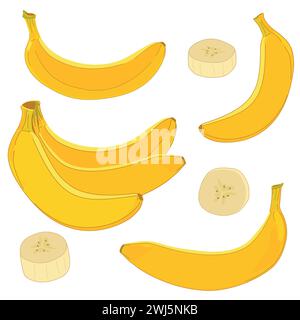 Set di banane vettoriali gialle in stile piatto. Frutta esotica intera, mucchio di banane, carne bianca a fette. Scopri lo stile dei cartoni animati per il design del packaging di Illustrazione Vettoriale