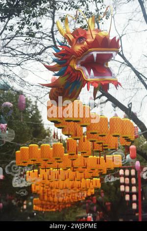 Hangzhou, Cina. 13 febbraio 2024. Il 13 febbraio 2024 i turisti stanno osservando una lanterna drago lunga 300 metri presso la palude di Xixi nel distretto del Lago Ovest di Hangzhou, la capitale della provincia dello Zhejiang della Cina orientale. (Foto di Costfoto/NurPhoto) credito: NurPhoto SRL/Alamy Live News Foto Stock