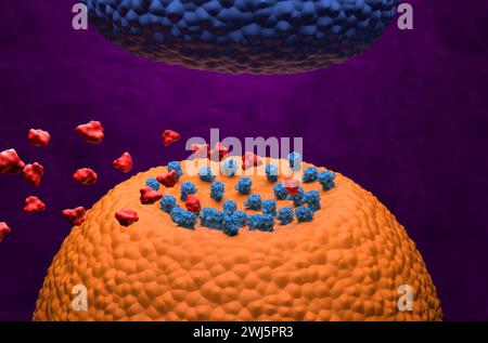 Molecole oppioidi alla ricerca dei recettori GABA - visualizzazione isometrica illustrazione 3d. Foto Stock