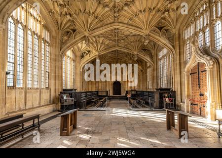 Divinity School Hall Foto Stock