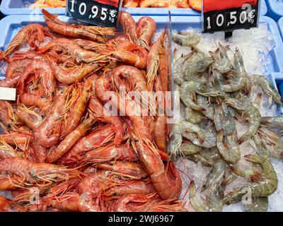 Gamberetti freschi esposti al dettaglio nel supermercato di Alicante, Spagna Foto Stock