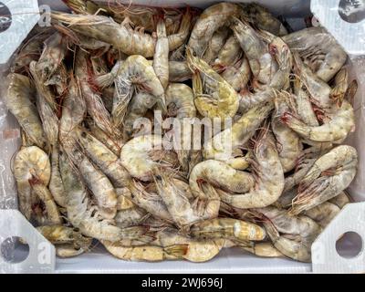 Gamberetti freschi esposti al dettaglio nel supermercato di Alicante, Spagna Foto Stock