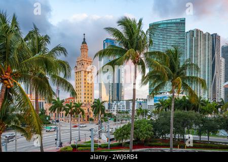 Miami, Florida, Stati Uniti d'America al mattino attraverso le palme. Foto Stock