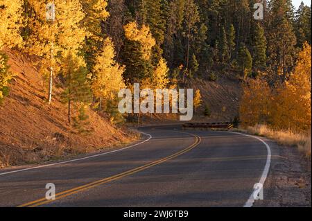 FOGLIAME AUTUNNALE SULLE MONTAGNE SANGRE DE CRISTO, SANTA FE, NEW MEXICO, USA Foto Stock