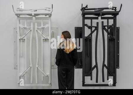 Londra, Regno Unito. 13 febbraio 2024. La serie Mercy, 2024 - Un'anteprima di Tiona Nekkia McClodden: A MERCY | DUMMY, una nuova mostra che va dal 14 febbraio al 24 marzo 2024, al White Cube Bermondsey. Presenta scultura, installazione e pittura. Crediti: Guy Bell/Alamy Live News Foto Stock
