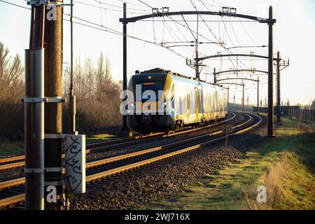Treno sprinter locale SNG su binario ferroviario a Dordrecht Foto Stock