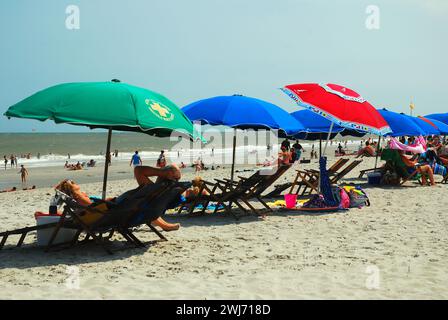 Le persone godono di una giornata di vacanza estiva seduti all'ombra di un ombrellone mentre si rilassano sulla riva Foto Stock