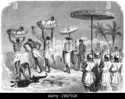 Sacrificio umano dove le vittime delle tribù rivali furono gettate ai Dahomey dai Palazzi reali di Abomey del Regno di Dahomey, ora Benin, Africa occidentale. Incisione vintage o storica o illustrazione 1863. Un testimone oculare riferì, il 29 luglio 1862, della consuetudine nel Palazzo del Re (di Re Ghezo), di lanciare vittime da due piattaforme sollevate. Ogni piattaforma conteneva 16 prigionieri e quattro cavalli. Su una terza piattaforma c'erano quattro cavalli, un coccodrillo e 16 donne. Gli uomini e le donne erano stati catturati a Ishaga in Nigeria. Foto Stock