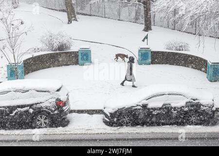 New York, New York, Stati Uniti. 13 febbraio 2024. La neve è caduta e si è accumulata nella città di Jersey City nello stato del New Jersey negli Stati Uniti questo martedì 13. A partire dalla fine del 12 febbraio si prevede una forte nevicata in alcune zone del nord-est degli Stati Uniti, con alcune aree che raggiungono i 5 cm di neve all'ora, ha detto il National Weather Service Forecasters. (Credit Image: © William Volcov/ZUMA Press Wire) SOLO PER USO EDITORIALE! Non per USO commerciale! Foto Stock