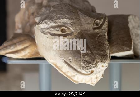 Testa di drago presso la galleria in gesso del Castello Normanno Svevo Bari, Puglia, Italia meridionale, Europa, Foto Stock