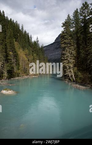 Il fiume Robson è torreggiato dalla montagna più alta delle Montagne Rocciose canadesi, il Mount Robson Hrough Mount Robson Provincial Park in Canada. Foto Stock