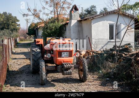 Arancione in mezzo al verde: Uno sguardo sull'armonia rurale di Dalyan Foto Stock