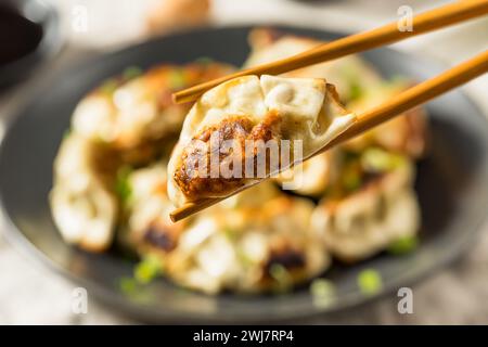 Adesivi asiatici ciotola Gyoza con salsa di soia Foto Stock
