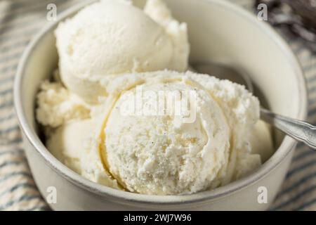 Gelato alla vaniglia dolce fatto in casa con gelato in ciotola Foto Stock
