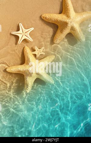 Stella di mare sulla spiaggia di estate in acqua di mare. Estate sfondo. L'estate. Foto Stock