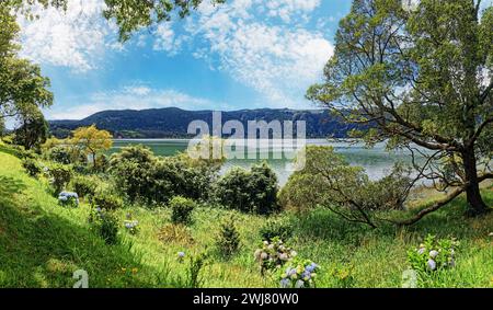 Vista panoramica del lago Furnas circondato da erba e alberi sotto un cielo azzurro, Furnas, Sao Miguel, Azzorre, Portogallo Foto Stock