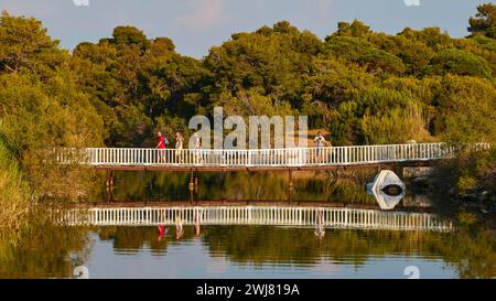 Persone che camminano su un ponte con un perfetto riflesso nell'acqua, circondate da alberi, biotopo di Strofilia, zone umide, Kalogria, Peloponneso, Grecia Foto Stock