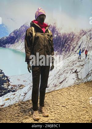 Escursionista anonimo in montagna Foto Stock