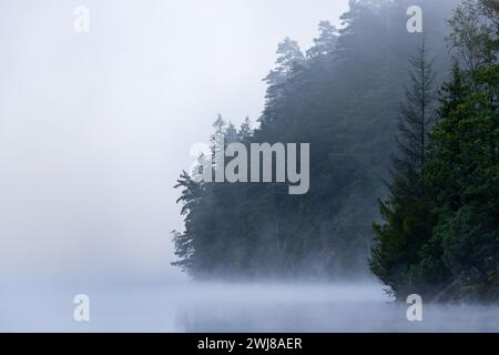 Mattina nebbiosa in un lago forestale in Svezia, Scandinavia. Rocce ripide con alberi e nebbia sulla superficie dell'acqua. Foto Stock