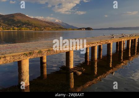 336 gabbiani arroccati su un lungo molo che si protende dal lungomare Kej Makedonija nel lago, sulla neve della montagna Galicica sullo sfondo. Ohrid-Macedonia del Nord. Foto Stock