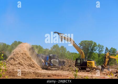Utilizzando lo sminuzzatore forestale, abbiamo caricato le radici dagli alberi in una macchina per tritare industriale che ha tritato Foto Stock