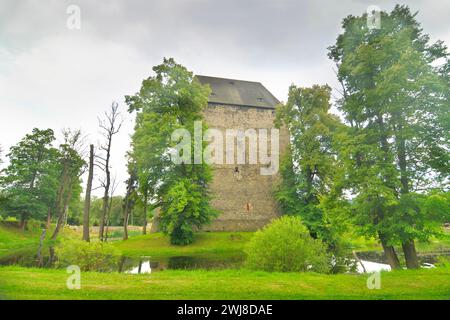 Torre Ducale medievale a Siedlęcin, Polonia Foto Stock