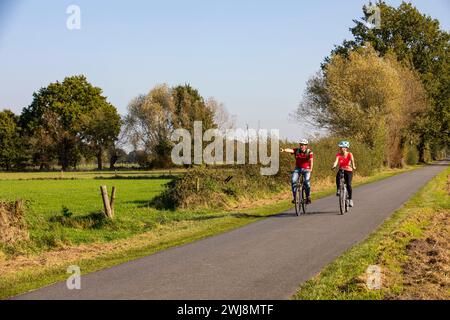 Radfahrer, Radtour im Naturschutzgebiet Dingdener Heide, Heide und an-Moorligen Landschaften, nördlich des Ortes Dingden, gehört zu Hamminkeln, Kulturlandschaft, NRW, Naturpark Hohe Mark Westmünsterland, Naturschutzgebiet Dingdener Heide parco naturale Hohe Mark Westmünsterland, riserva naturale di Dingdener Heide Foto Stock