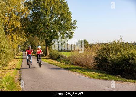 Radfahrer, Radtour im Naturschutzgebiet Dingdener Heide, Heide und an-Moorligen Landschaften, nördlich des Ortes Dingden, gehört zu Hamminkeln, Kulturlandschaft, NRW, Naturpark Hohe Mark Westmünsterland, Naturschutzgebiet Dingdener Heide parco naturale Hohe Mark Westmünsterland, riserva naturale di Dingdener Heide Foto Stock