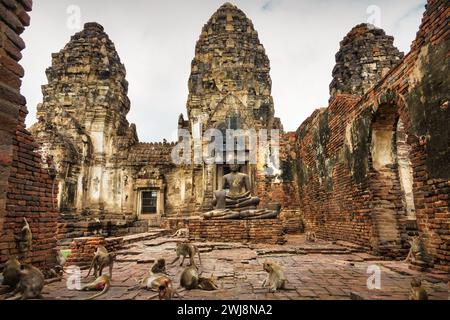 Macachi che mangiano granchio al Phra Prang Sam Yot a Lopburi, Thailandia. Foto Stock