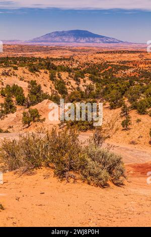 Paesaggio desertico sulla riserva Navajo con la montagna Navajo in lontananza. Il monte Navajo è considerato sacro dai Navajos. Foto Stock