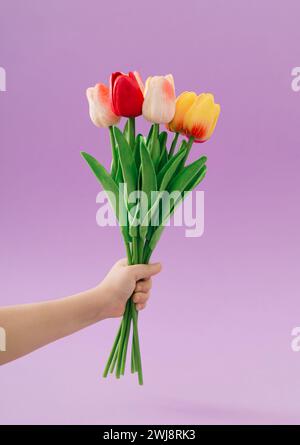 Il bambino tiene a mano un mazzo di fiori di tulipani colorati su sfondo viola. Concetto minimale di fiori primaverili. Elegante composizione in fiore primaverile. Foto Stock