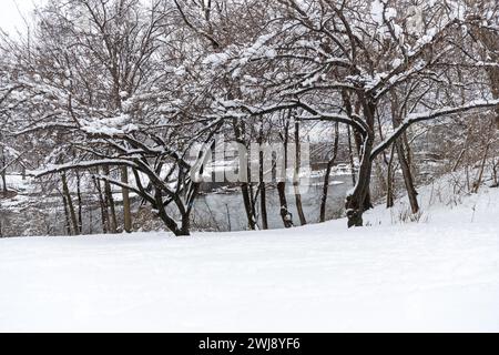 La neve si accumula nella città di Paterson k nel New Jersey, Stati Uniti il 13 febbraio 2023. Il National Weather Center ha detto che il New Jersey e New York sono in pericolo di tempesta invernale. Crediti: Brasile Photo Press/Alamy Live News Foto Stock