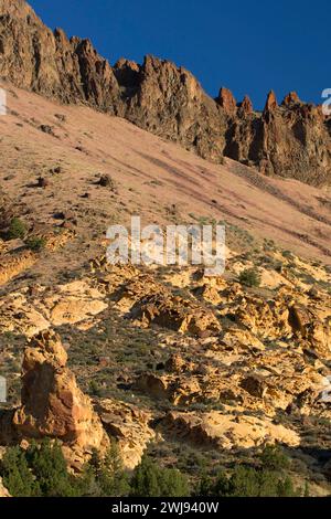 Affioramenti in Juniper Gulch, Honeycombs Wilderness Study area, Leslie Gulch area of Critical Environmental Concern, vale District Bureau of Land Managem Foto Stock