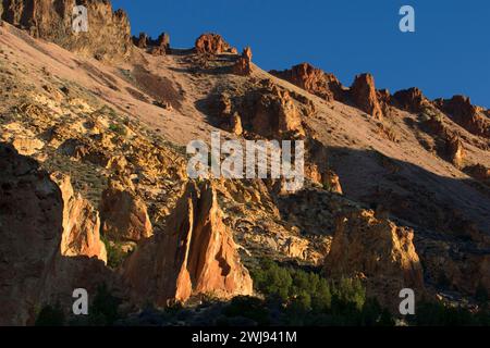 Affioramenti in Juniper Gulch, Honeycombs Wilderness Study area, Leslie Gulch area of Critical Environmental Concern, vale District Bureau of Land Managem Foto Stock